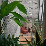 Хостел Hostel, Goscinne Mleczarnia - Ozonowane Вроцлав