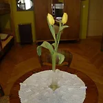 Hostel, Goscinne Mleczarnia - Ozonowane Хостел *
