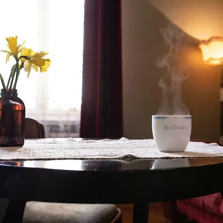 Hostel, Goscinne Mleczarnia - Ozonowane * Вроцлав