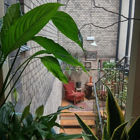 Hostel Hostel, Goscinne Mleczarnia - Ozonowane Wroclaw