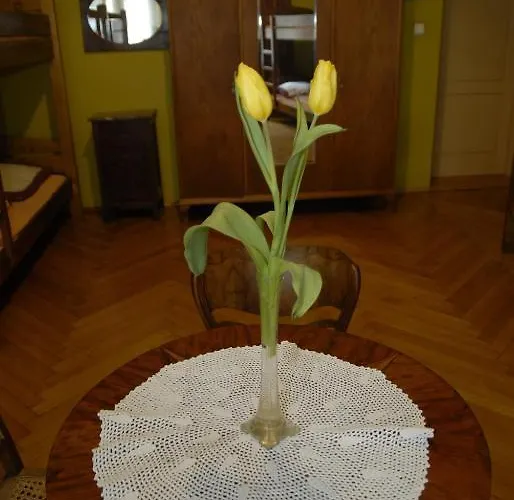 Hostel, Goscinne Mleczarnia - Ozonowane Хостел *